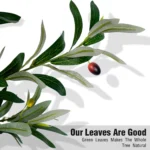 Olive Trees Artificial Indoor, 5.25/6.10/7.10FT Tall Faux Olive Tree with Black Pot, Artificial Plants with Natural Wood Trunk and Lifelike Fruits for Home Office Decor - Image 3