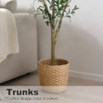 Olive Trees Artificial Indoor, 5.25/6.10/7.10FT Tall Faux Olive Tree with Black Pot, Artificial Plants with Natural Wood Trunk and Lifelike Fruits for Home Office Decor - Image 4